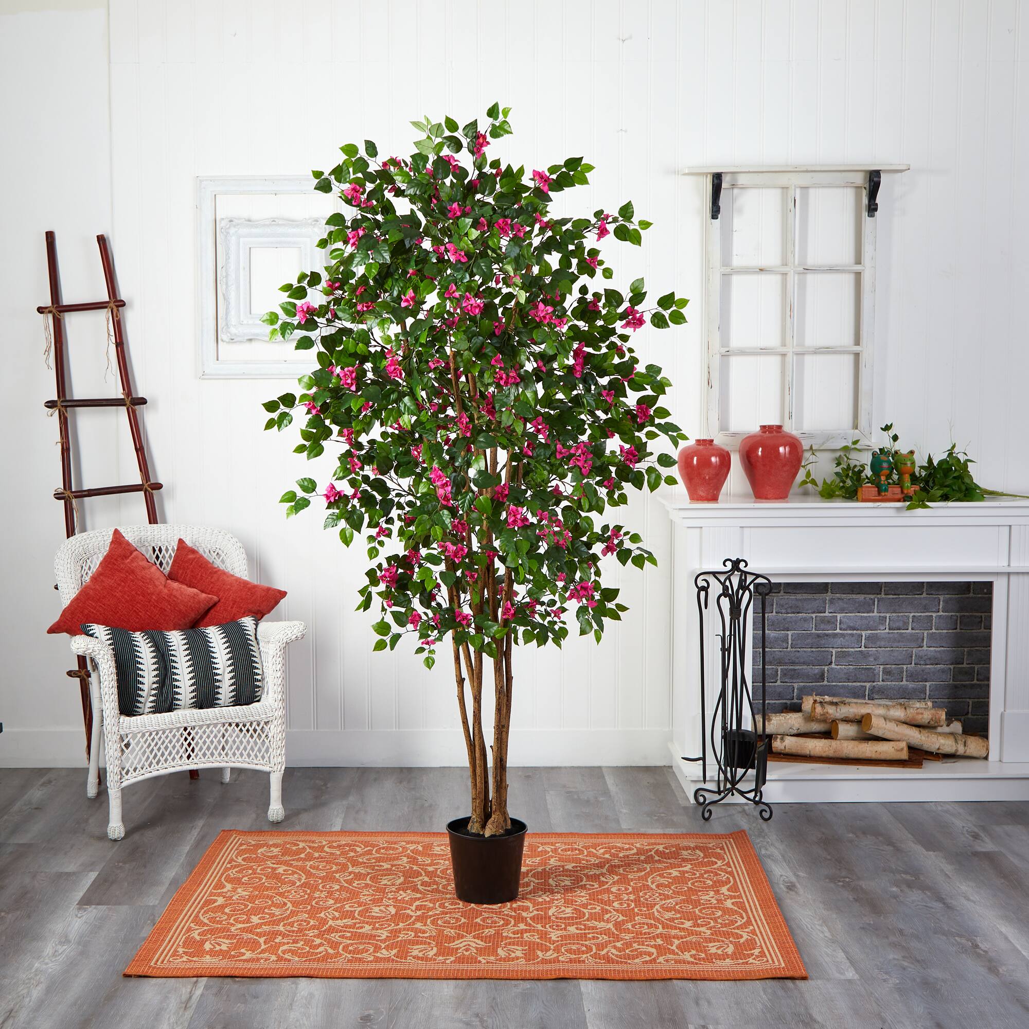 6ft. Potted Bougainvillea Tree
